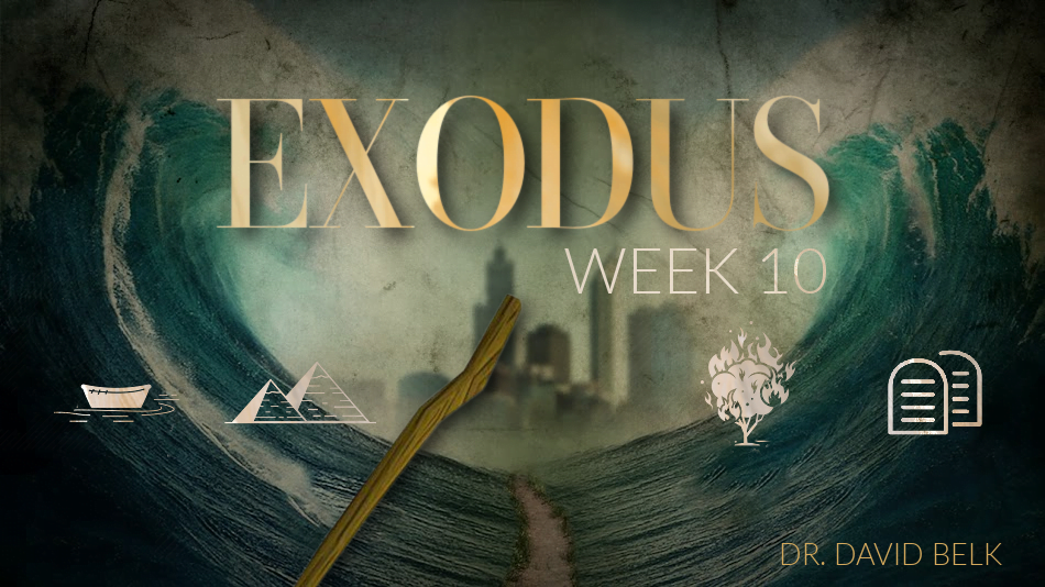 Exodus – Week 10